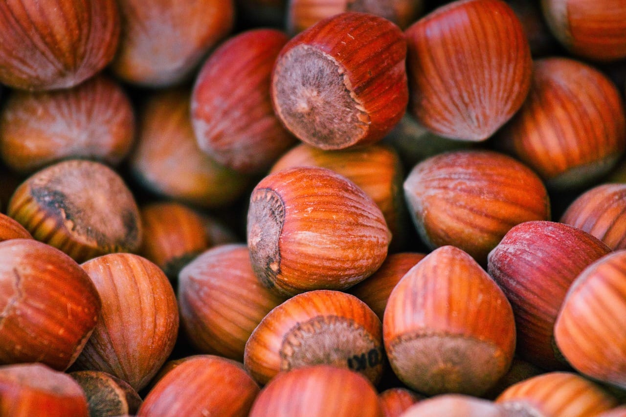 beneficios de la l-carnitina