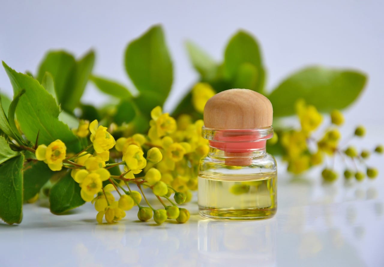 beneficios del aceite de árbol de té